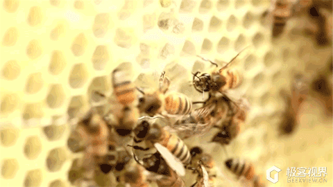 480_270gif 动态图 动图