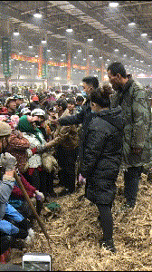 刷抖音点赞挣钱的是什么软件_抖音点赞加关注挣钱是真的吗_拍抖音如何挣钱