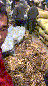 拍抖音如何挣钱_抖音点赞加关注挣钱是真的吗_刷抖音点赞挣钱的是什么软件