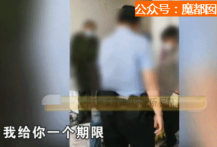 头皮发麻！干净的地上抽屉忽然爆发大量蟑螂，真相令人愤怒（组图） - 26