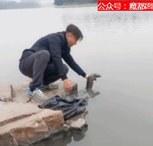 你们如此“放生”，不怕佛祖显灵抽你们耳光？（组图） - 63