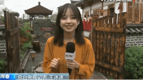 央视美女记者突然走红，这也太好看了吧！(图10)