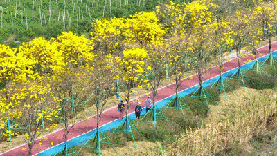 图源：相约新会