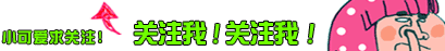 老板命的五大生肖属鼠_老板属什么生肖_老板命的五大生肖