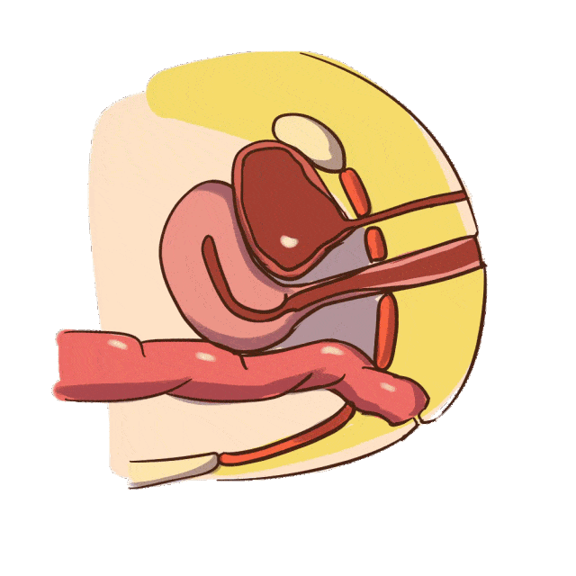 产后一定要做盆底肌修复 这绝不是危言耸听 产后修复中心 产后骨盆修复 尚荷国际产后修复官方网站