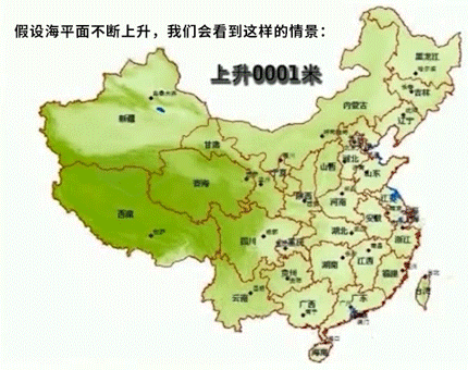 南极惊现绿雪，海象集体跳崖，2200万人流离失所，一场危机正在临近（组图） - 64
