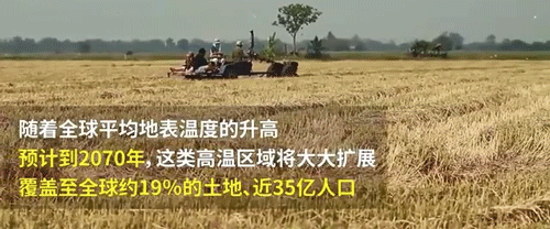 南极惊现绿雪，海象集体跳崖，2200万人流离失所，一场危机正在临近（组图） - 62