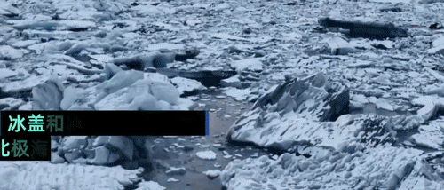南极惊现绿雪，海象集体跳崖，2200万人流离失所，一场危机正在临近（组图） - 58