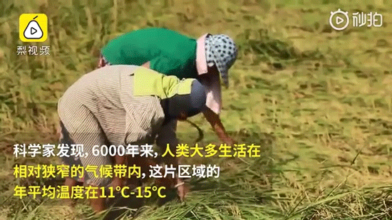南极惊现绿雪，海象集体跳崖，2200万人流离失所，一场危机正在临近（组图） - 60