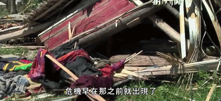 南极惊现绿雪，海象集体跳崖，2200万人流离失所，一场危机正在临近（组图） - 65