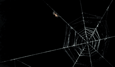 400_234gif 动态图 动图