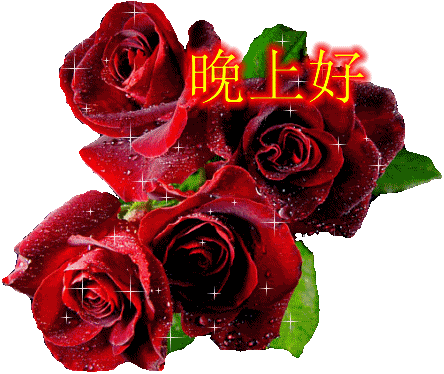 朋友圈最美晚安动态文字祝福 清晨早安祝福语 微信公众号文章阅读 Wemp