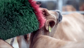 微信图片_20181025102526