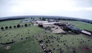 微信图片_20181025102509