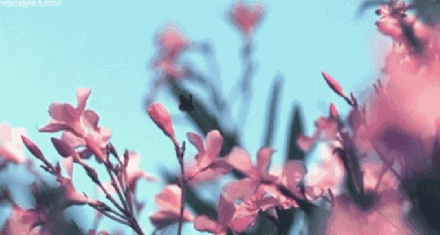 【夜听】你的心态，决定你的状态