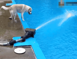 你在健身界是“残级”还是“神级”！只看一个动作！