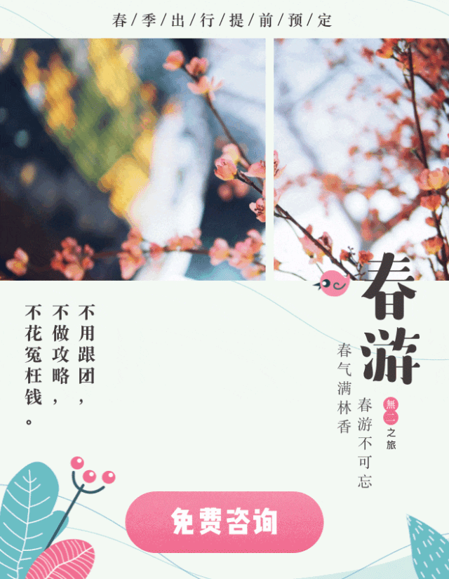 旅游菜市场：懂得生活的人，都爱逛菜市场                                                                                               日本