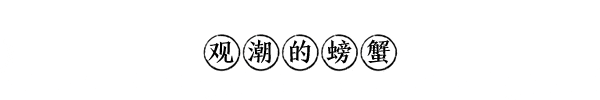 媒体深度报道衡钢：城中大厂的全“绿”以赴