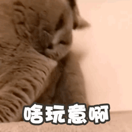 关于墨尔本的20个小秘密！这些冷知识你都知道吗？（组图） - 5