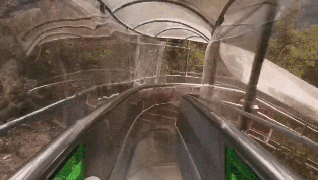 中国人自己的“小普吉”！高铁1.5h直达，依山傍海，竹林温泉畅泡！