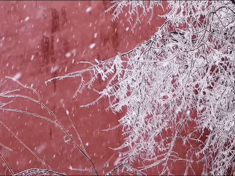 脱发≠要补肾！痰浊上泛，一补堵得更厉害。