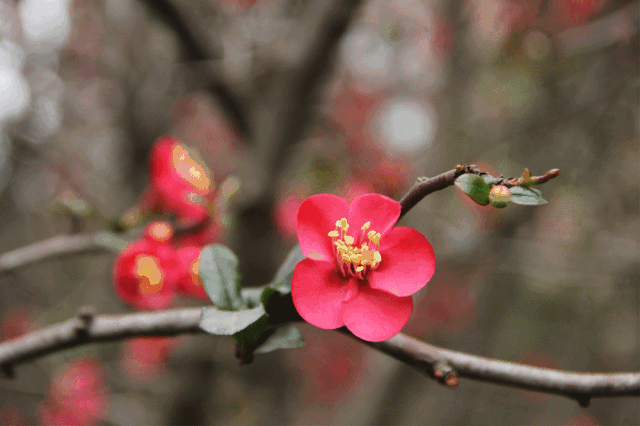 640_426gif 动态图 动图