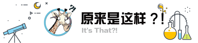 拿什么拯救你，我的发际线？