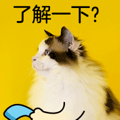 亚洲T0P5 ：新加坡南洋理工大学热门专业、申请要求、学费大起底