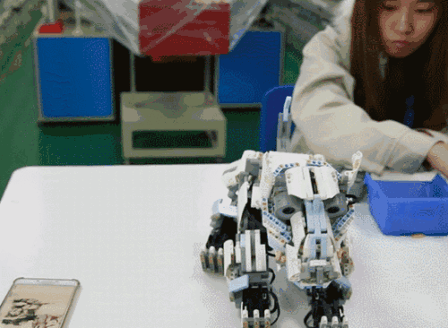 揭秘春晚第一机器狗“热舞天团”！开发仅用三周