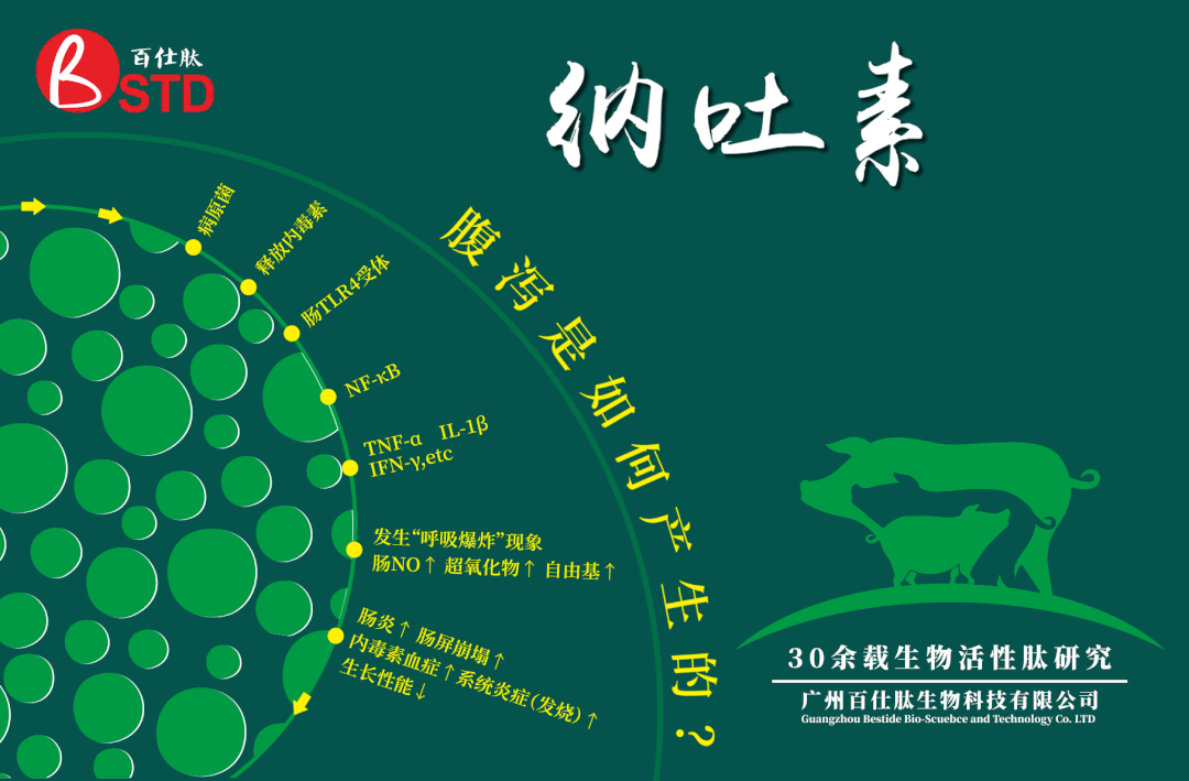 暴雪寒冬，腹泻防控正当时！疾病检测要趁早，抗原、抗体评估不可或缺