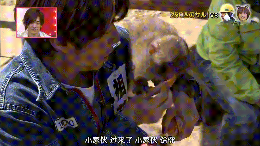 有那麼一群人 只為守護萌寵的笑顏 Cityzine 微文庫