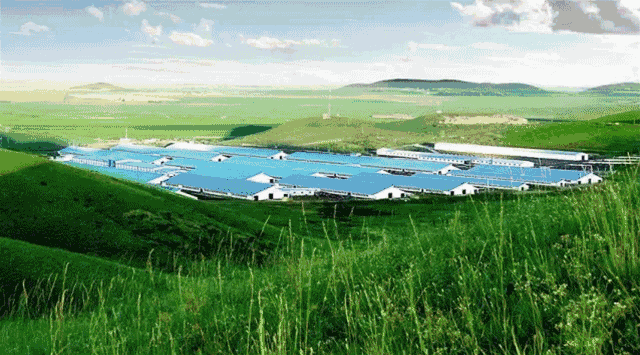 现代牧业把现代化的加工厂建在规模化的牧场里,把规模化的牧场建在