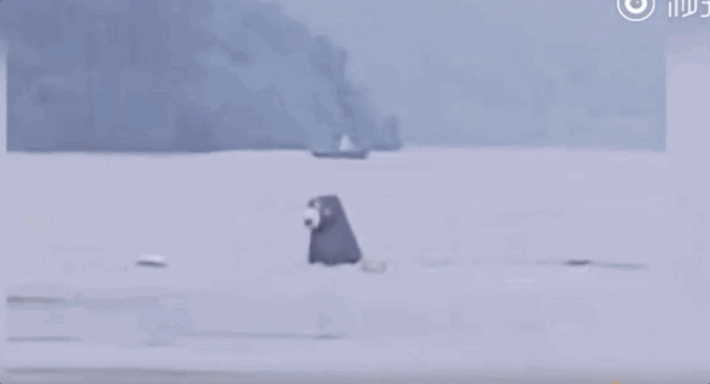 �������������˸ɵĺ��£�