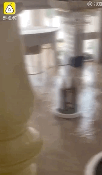 �������������˸ɵĺ��£�