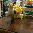 突如其来的骚，闪了老子的腰！哈哈哈哈哈哈哈哈哈哈哈哈哈哈哈哈（视频/组图） - 61