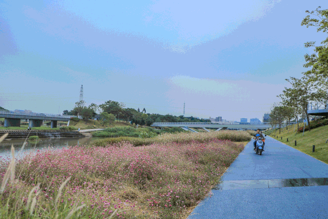 我们在城基 | 重塑茅洲河碧道生命系统 · 再添深圳生态新名片 我们在城基 | 重塑茅洲河碧道生命系统 · 再添深圳生态新名片