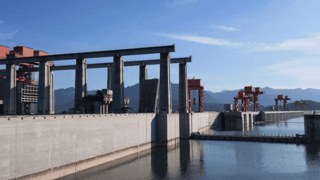 image.gif