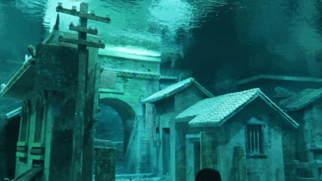 4.gif