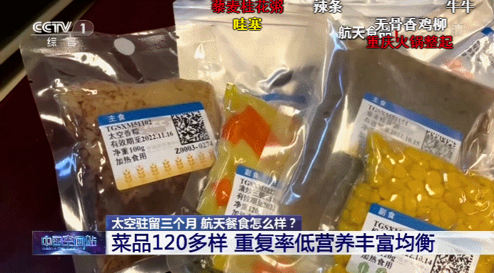 中国人“吃鸦片”才能造火箭？聂海胜：我们吃椒麻鹅和宫保鸡丁