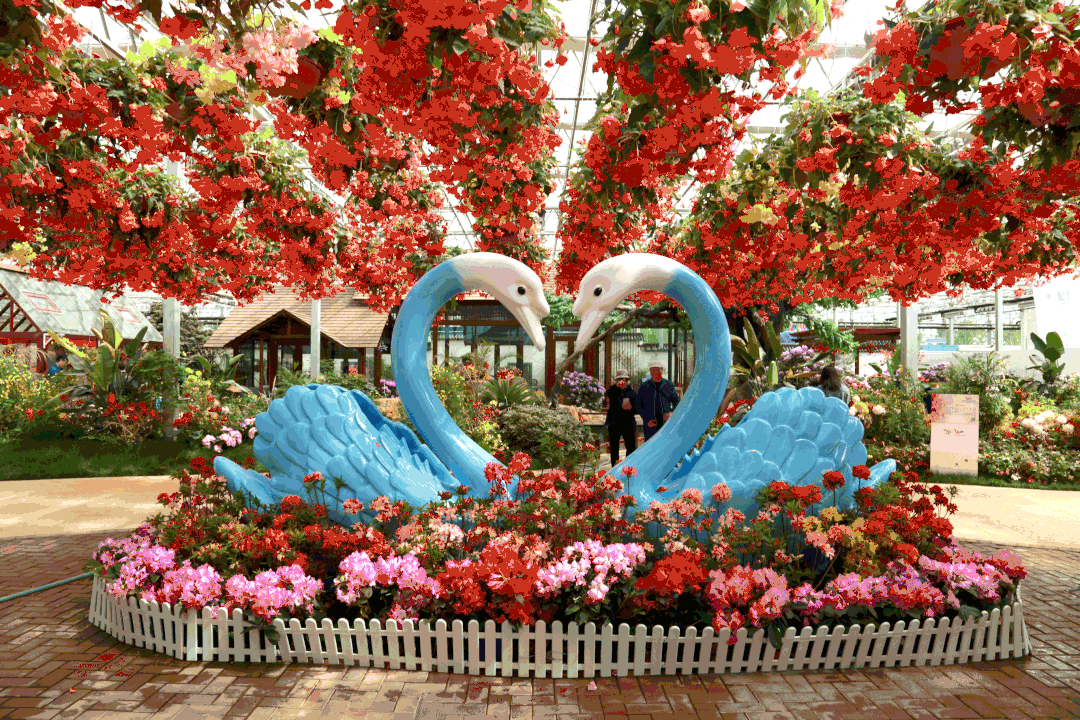 明星助阵免费入园4月24日日照杜鹃花节再度惊艳来袭