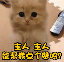 厦门哪些板块的房子最有升值潜力?| 购房问答NO.532