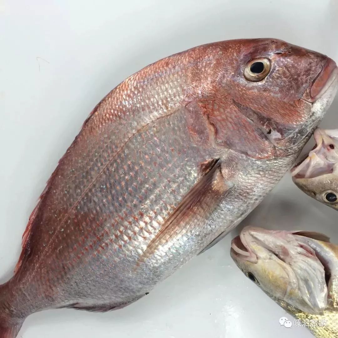 东海经常能捕到的食用鱼 你都认识吗 海鲜指南 微信公众号文章阅读 Wemp