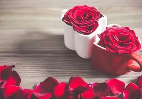 一生中的“谢谢”