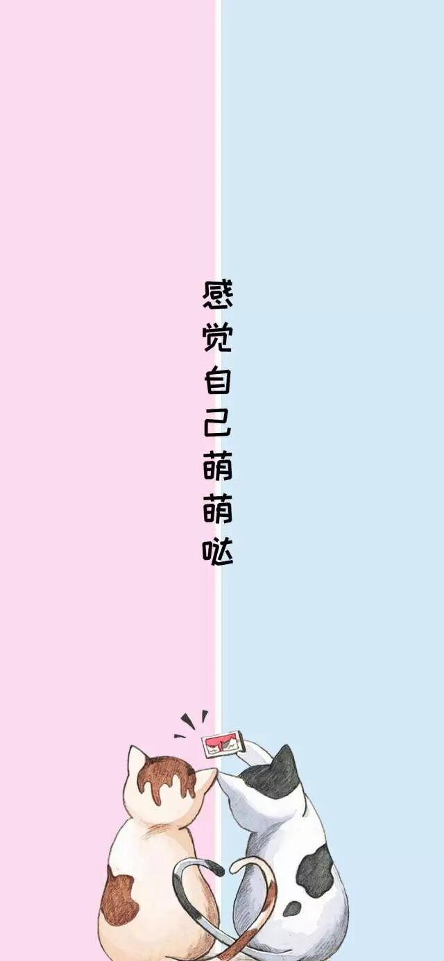 博洋家纺聊天背景图一半一半的三八分割线壁纸再也不怕发错消息啦