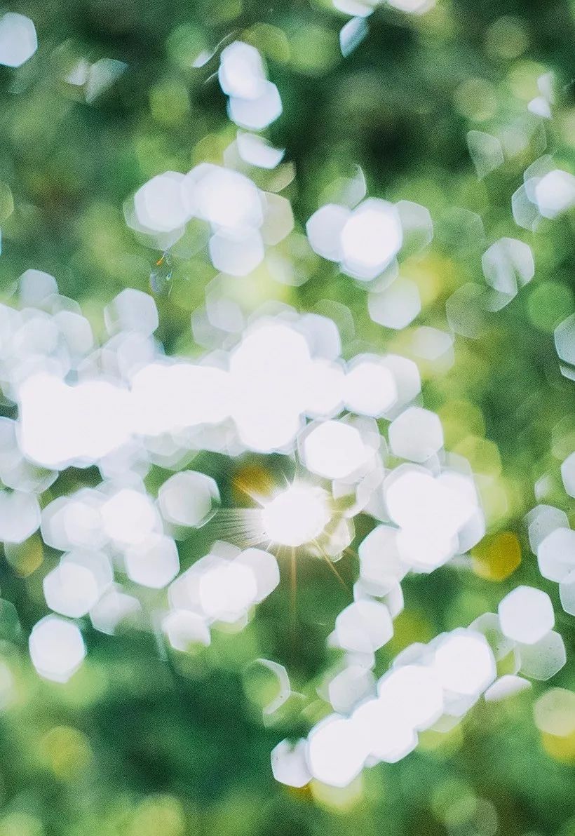 六月再见，七月你好！