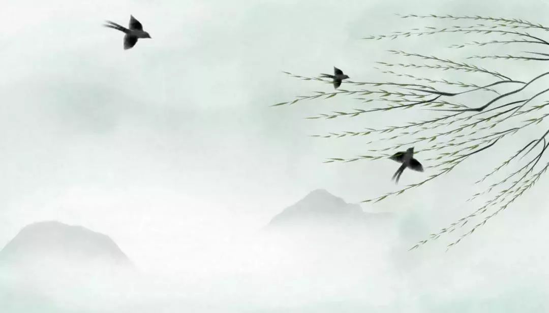 20180204112759_p46uidf0af.png?v=1762008258249