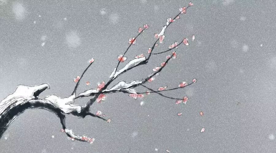 20180204112759_8hv2220x8g.png?v=1762008258249