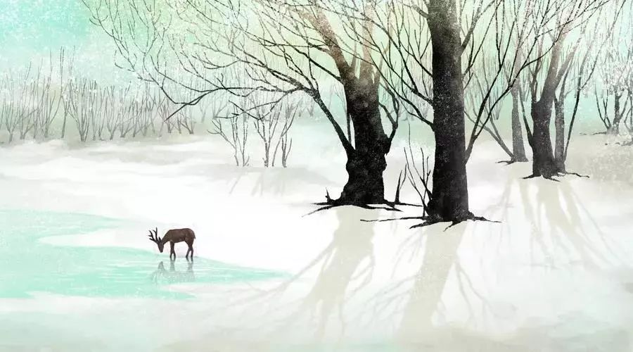 20180204112759_c2bb35r2fi.png?v=1762008258249