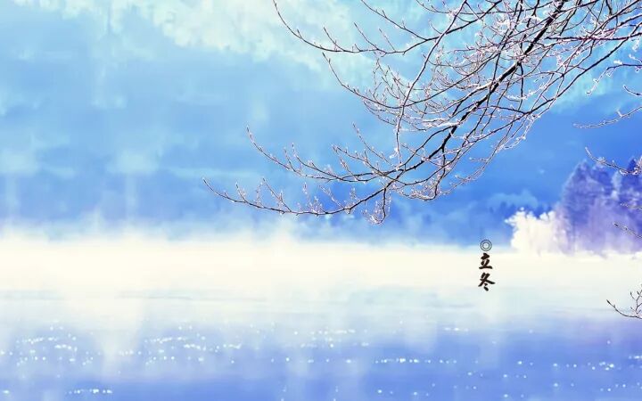 立冬丨秋尽冬始，万物收藏