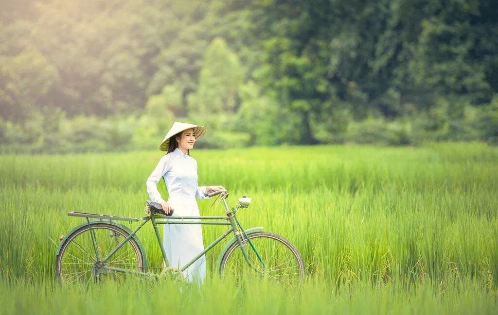 今日芒种：所有播种都能丰收，所有付出都能收获